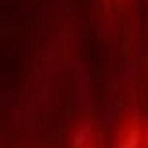 Meet your Posher, Isabel